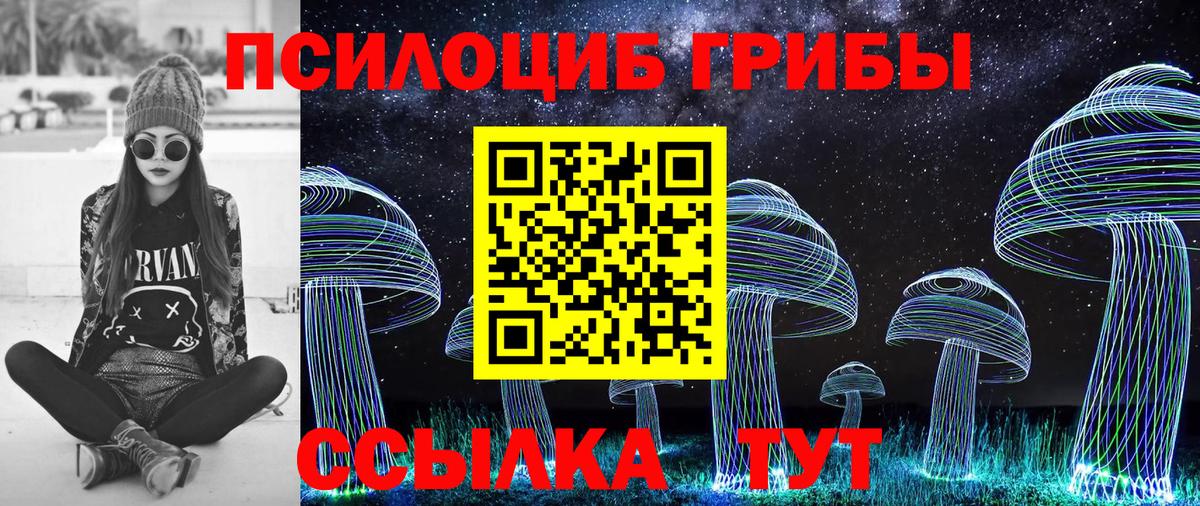 Галлюциногенные грибы MAGIC MUSHROOMS  где можно купить наркотик  Вход с VPN  Тула  Галлюциногенные грибы Psilocybe 
